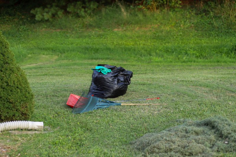Crow Removal